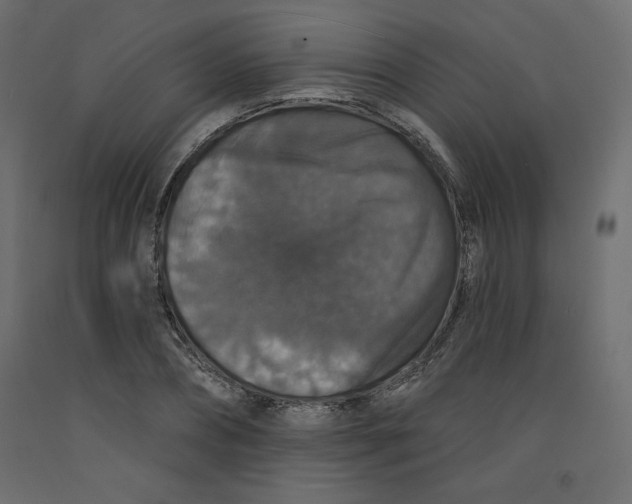 X0000092320882200710121520