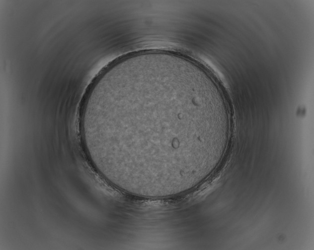 X0000092320883200710121520