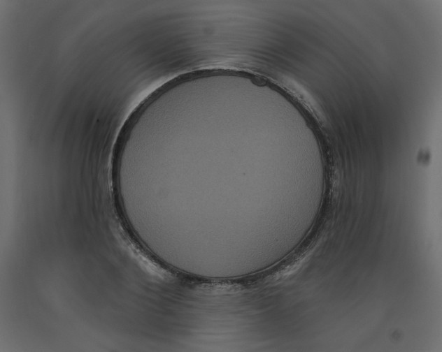 X0000092320884200710121520