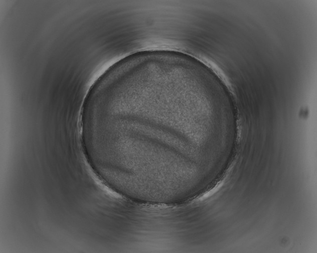 X0000092320885200710121520