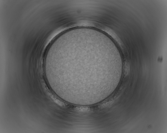X0000092320886200710121520