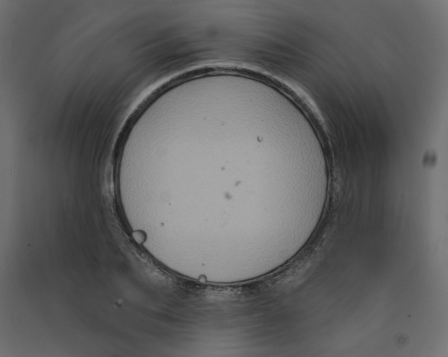 X0000092320887200710121520