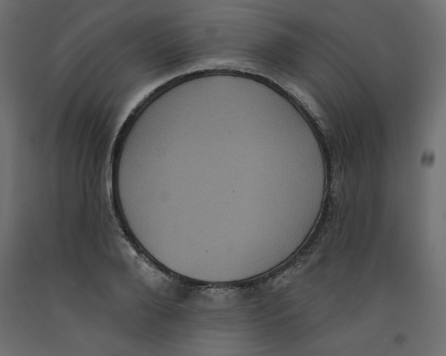 X0000092320888200710121520
