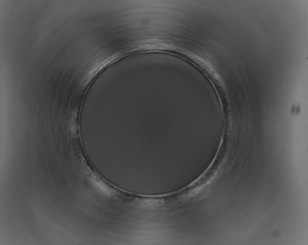 X0000092320889200710121520
