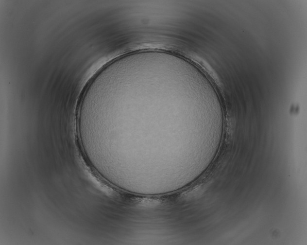 X0000092320890200710121520
