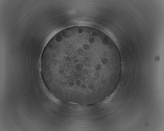 X0000092320891200710121520