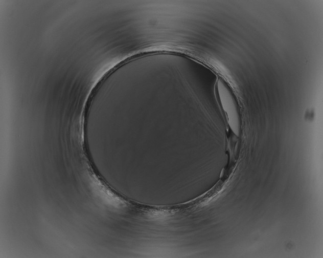 X0000092320892200710121520