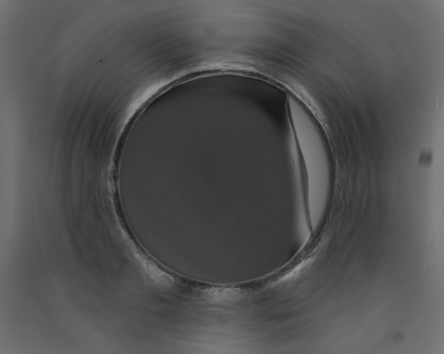 X0000092320893200710121520