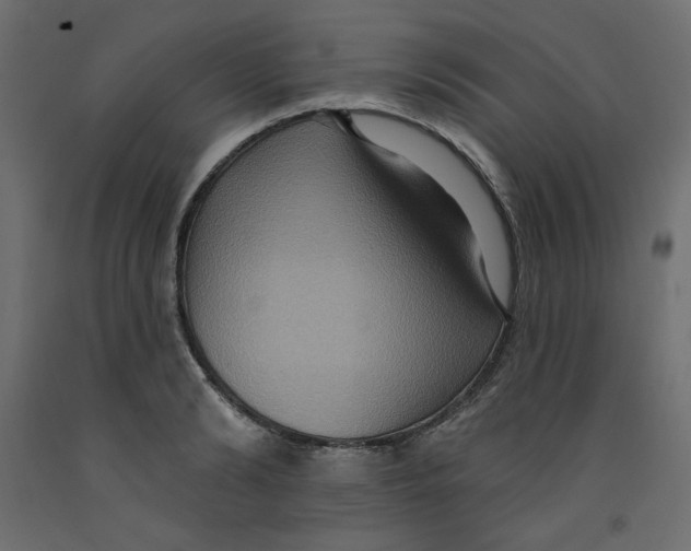 X0000092320894200710121520