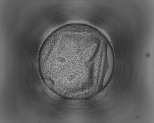 X0000092320895200710121520