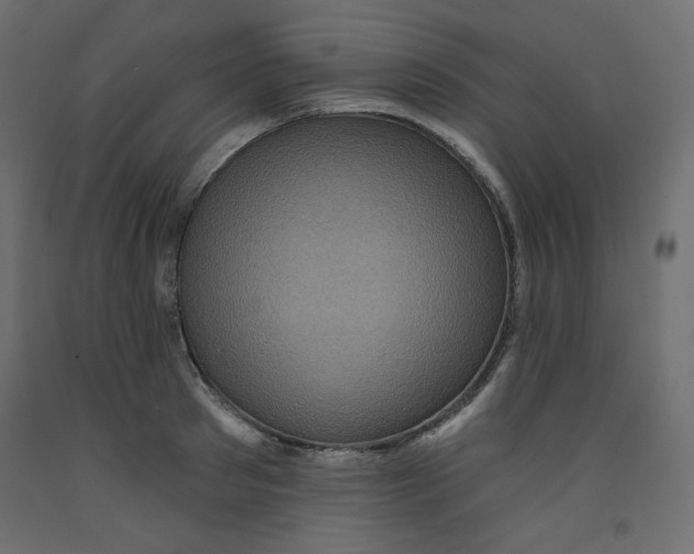 X0000092320897200710121520