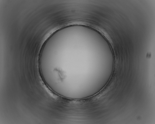 X0000092320898200710121520