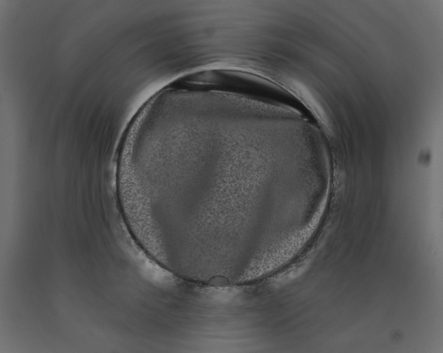 X0000092320900200710121520