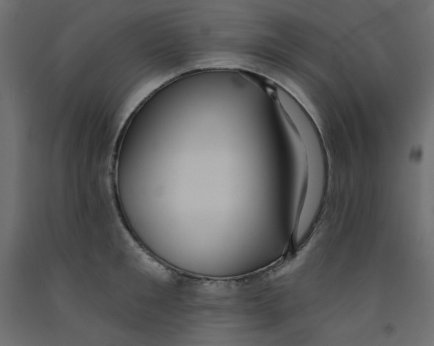 X0000092320901200710121520