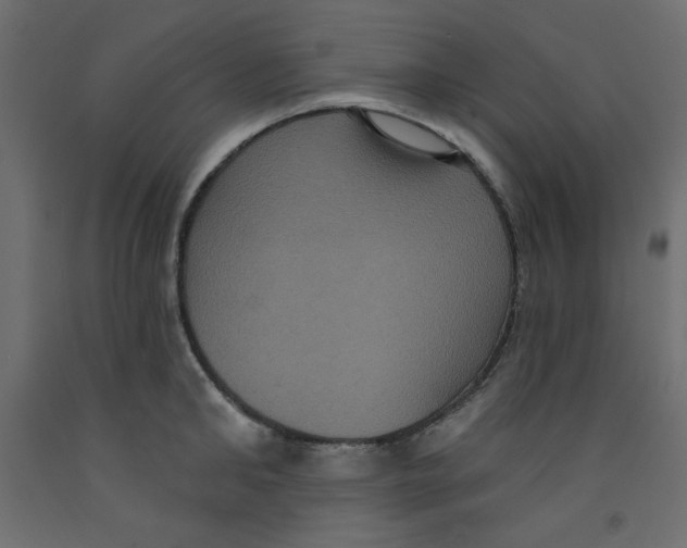 X0000092320902200710121520