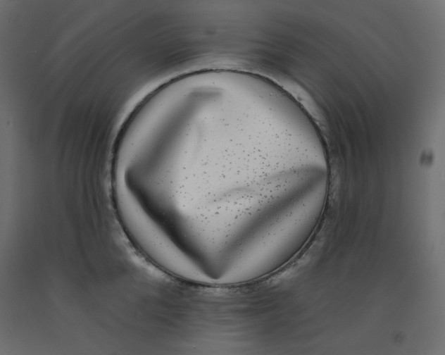 X0000092320904200710121520