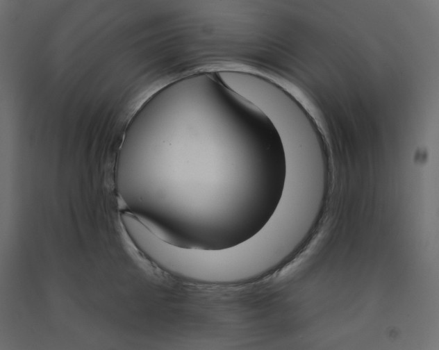 X0000092320905200710121520