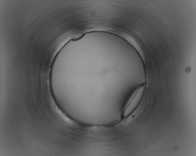 X0000092320906200710121520