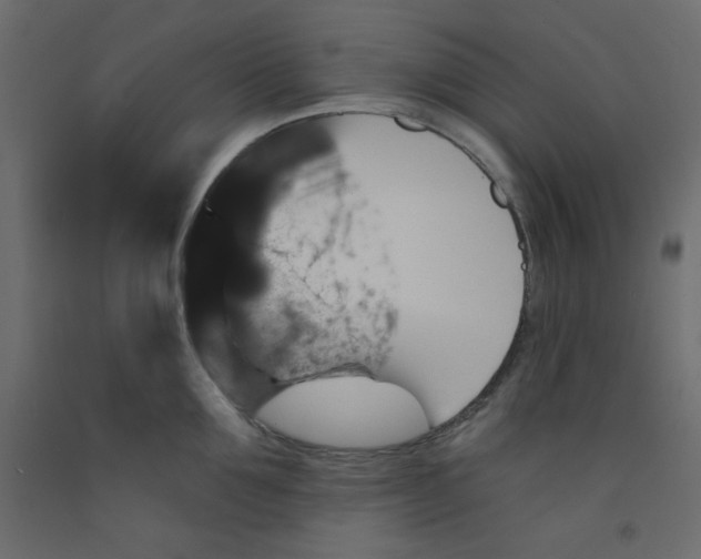 X0000092320907200710121520