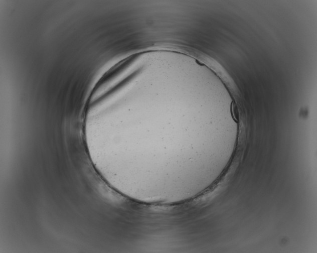 X0000092320908200710121520