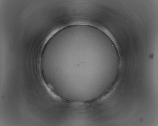 X0000092320909200710121520