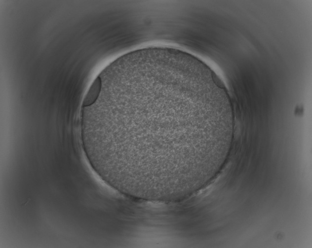 X0000092320911200710121520