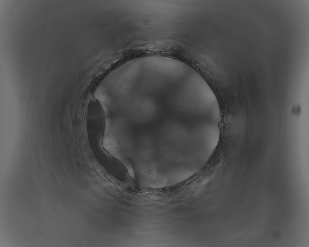 X0000092320913200710121519
