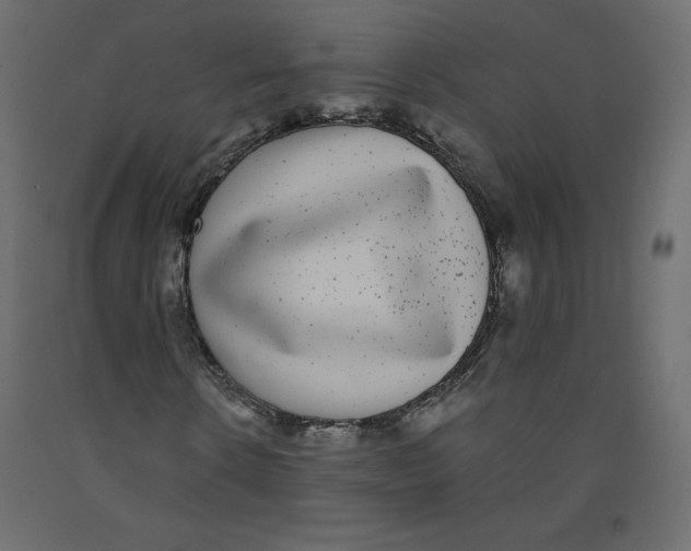 X0000092320914200710121519