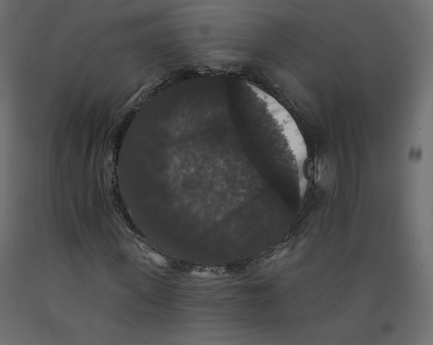 X0000092320915200710121519