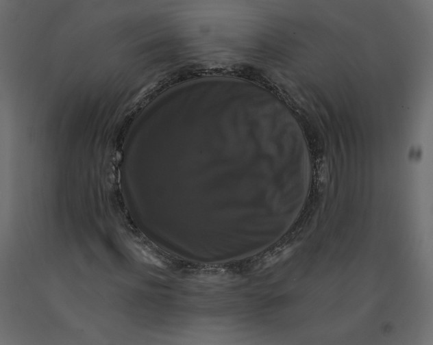 X0000092320916200710121519