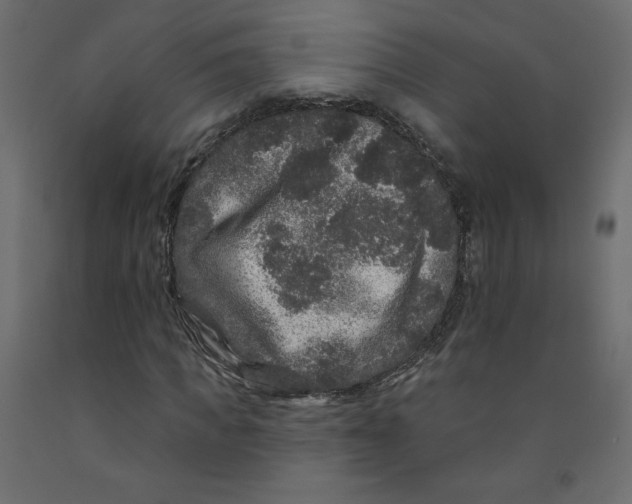 X0000092320917200710121519