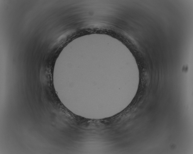X0000092320918200710121519