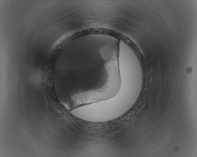 X0000092320919200710121519