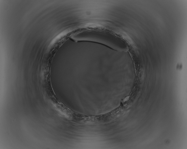 X0000092320920200710121519