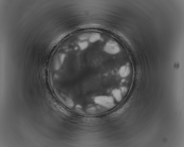 X0000092320921200710121519