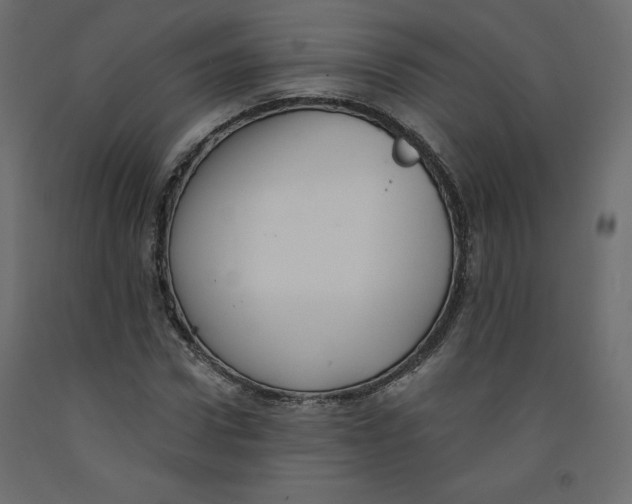 X0000092320922200710121519