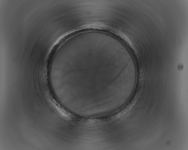 X0000092320923200710121519