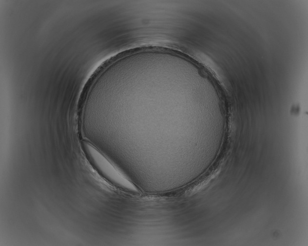 X0000092320924200710121519