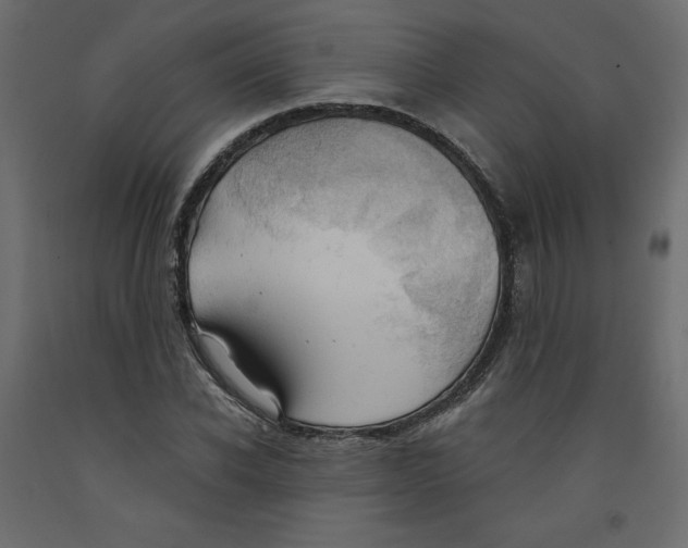 X0000092320926200710121519