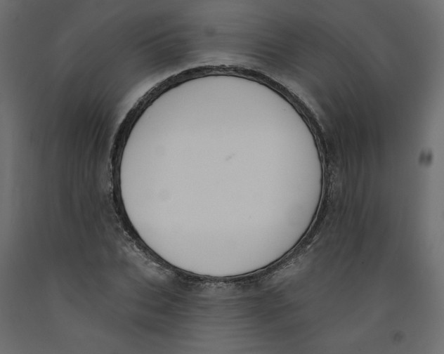 X0000092320927200710121519