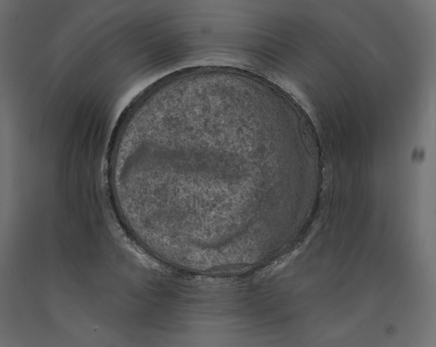 X0000092320928200710121519