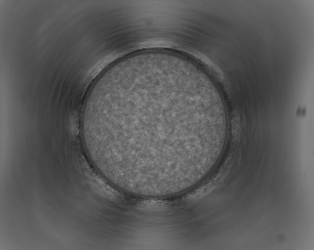 X0000092320929200710121519