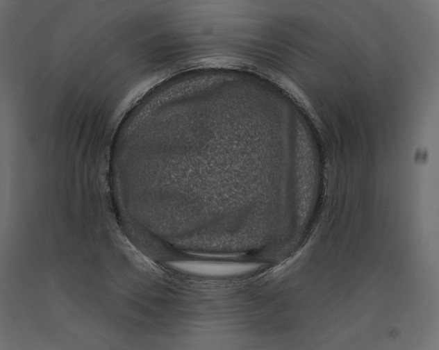 X0000092320930200710121519