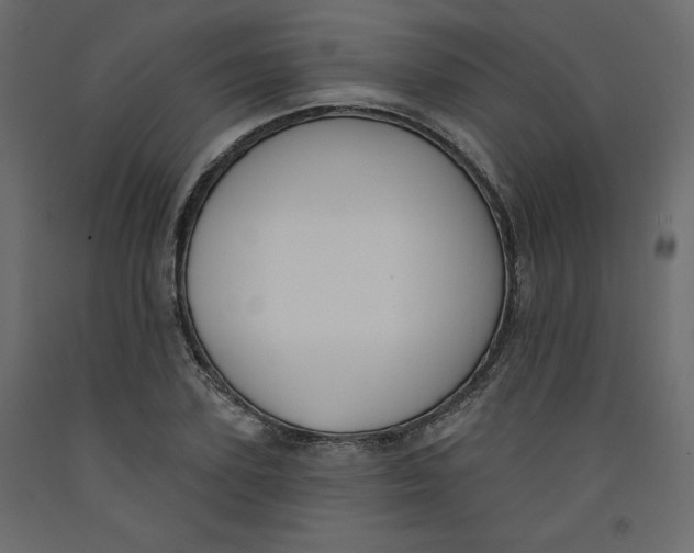 X0000092320931200710121519
