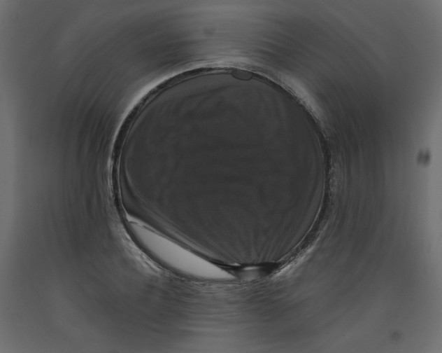 X0000092320932200710121519
