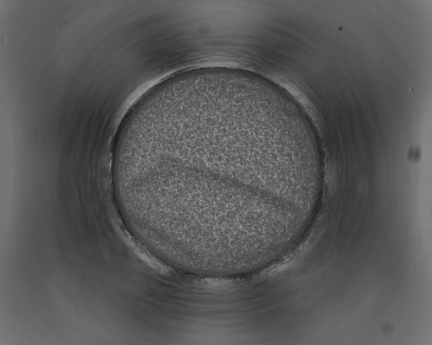 X0000092320933200710121519