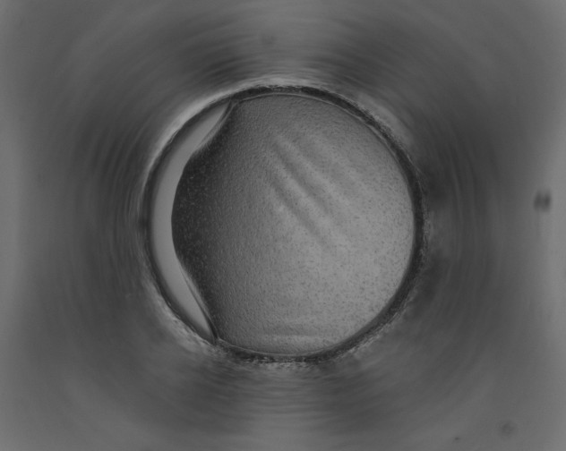 X0000092320934200710121519
