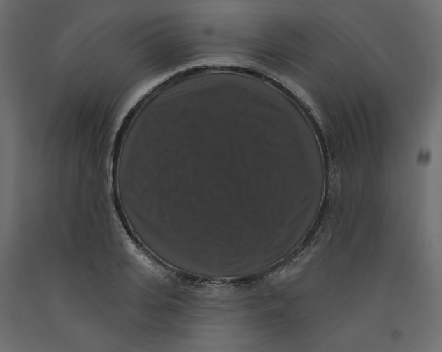 X0000092320935200710121519