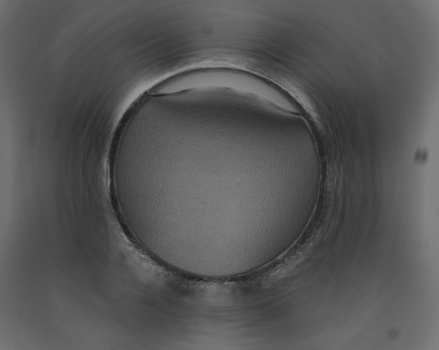 X0000092320936200710121519