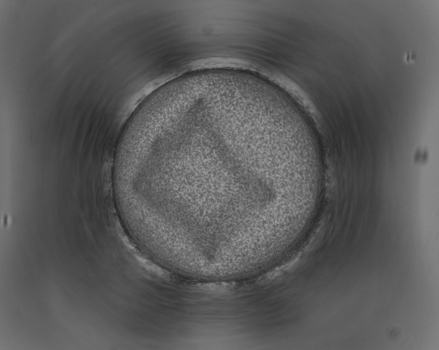 X0000092320937200710121519